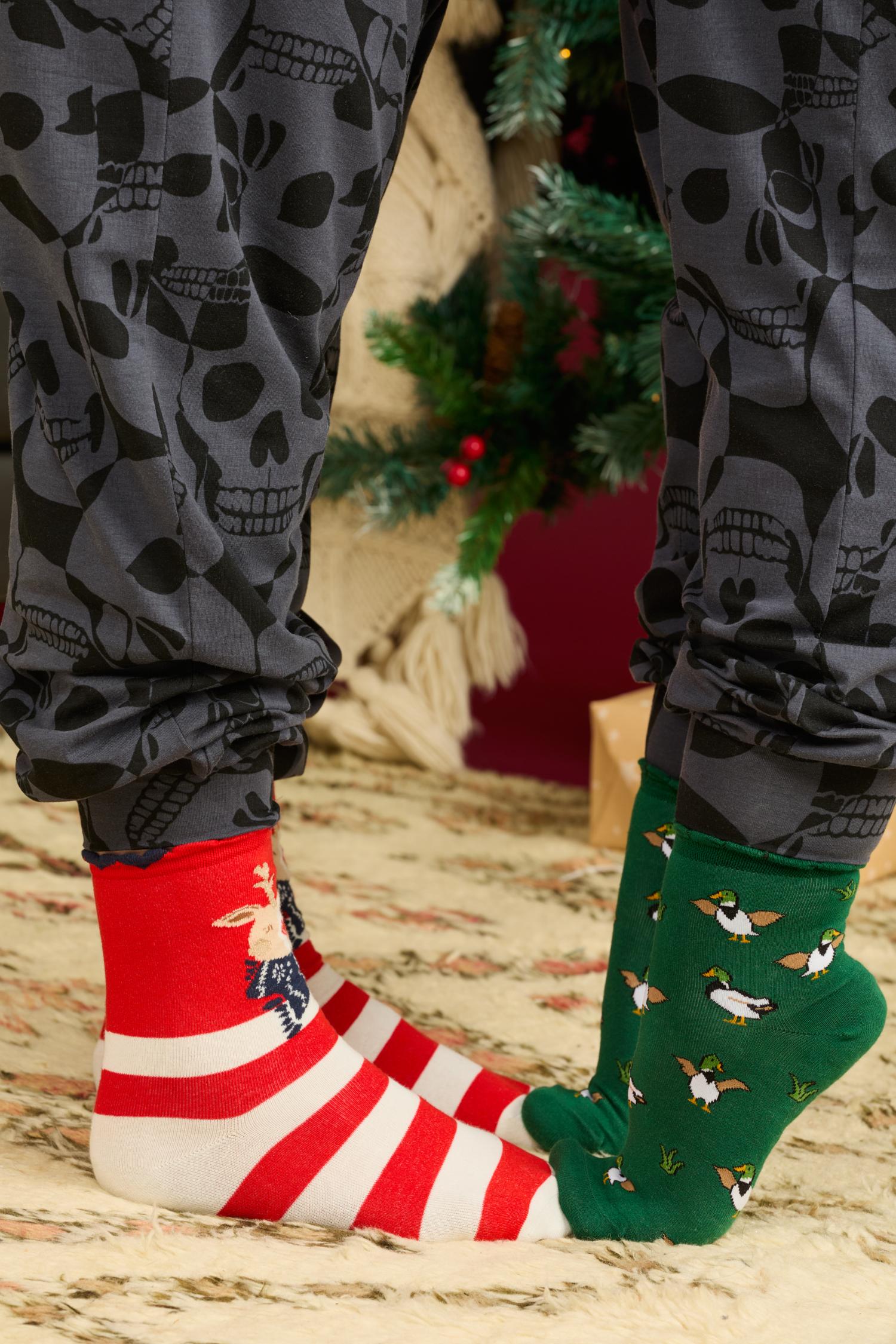 Pack Variado de Calcetines de Animales - 5 Pares