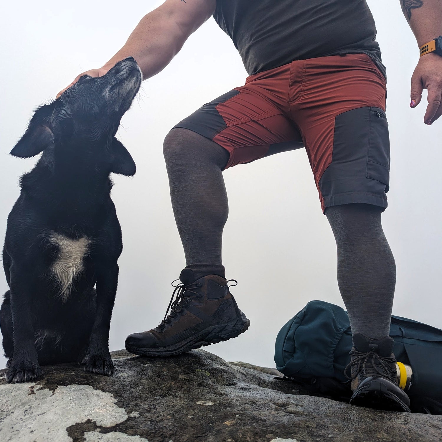 Collants en laine mérinos - Silver Lining - Snag