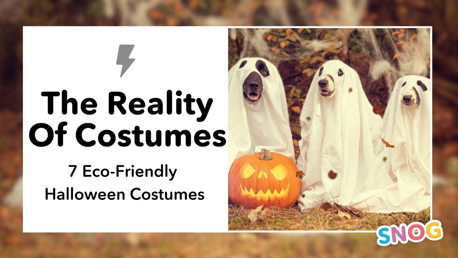 La spaventosa realtà di Halloween: 7 costumi ecologici che probabilmente già possiedi - Snag