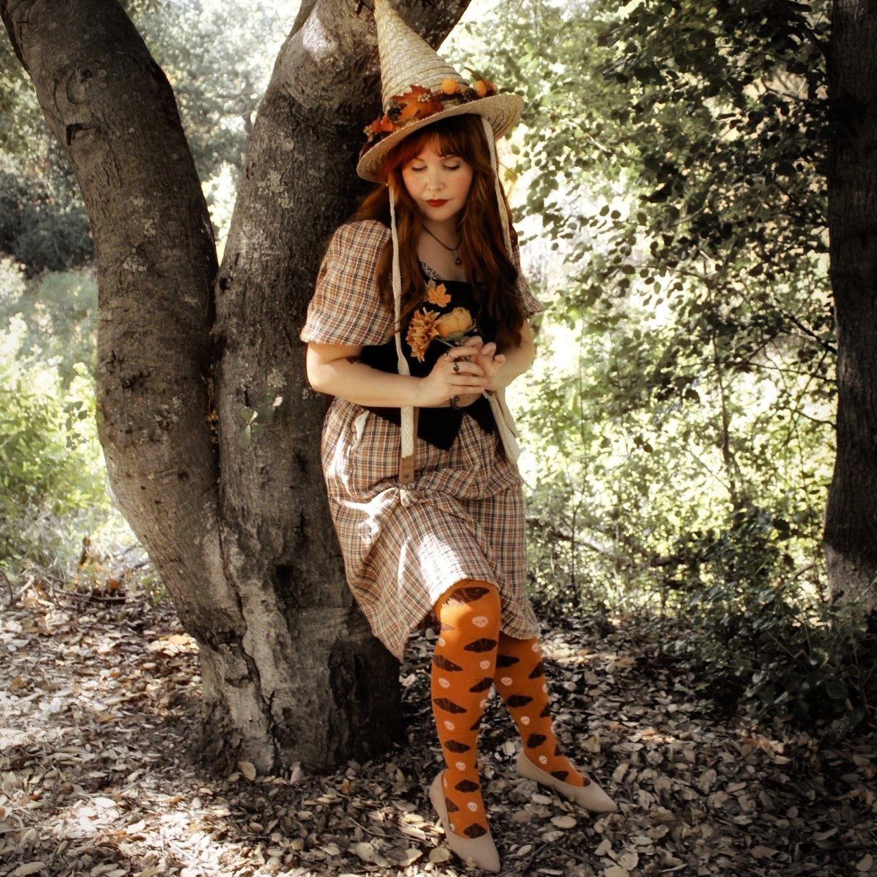 Falena della testa della morte