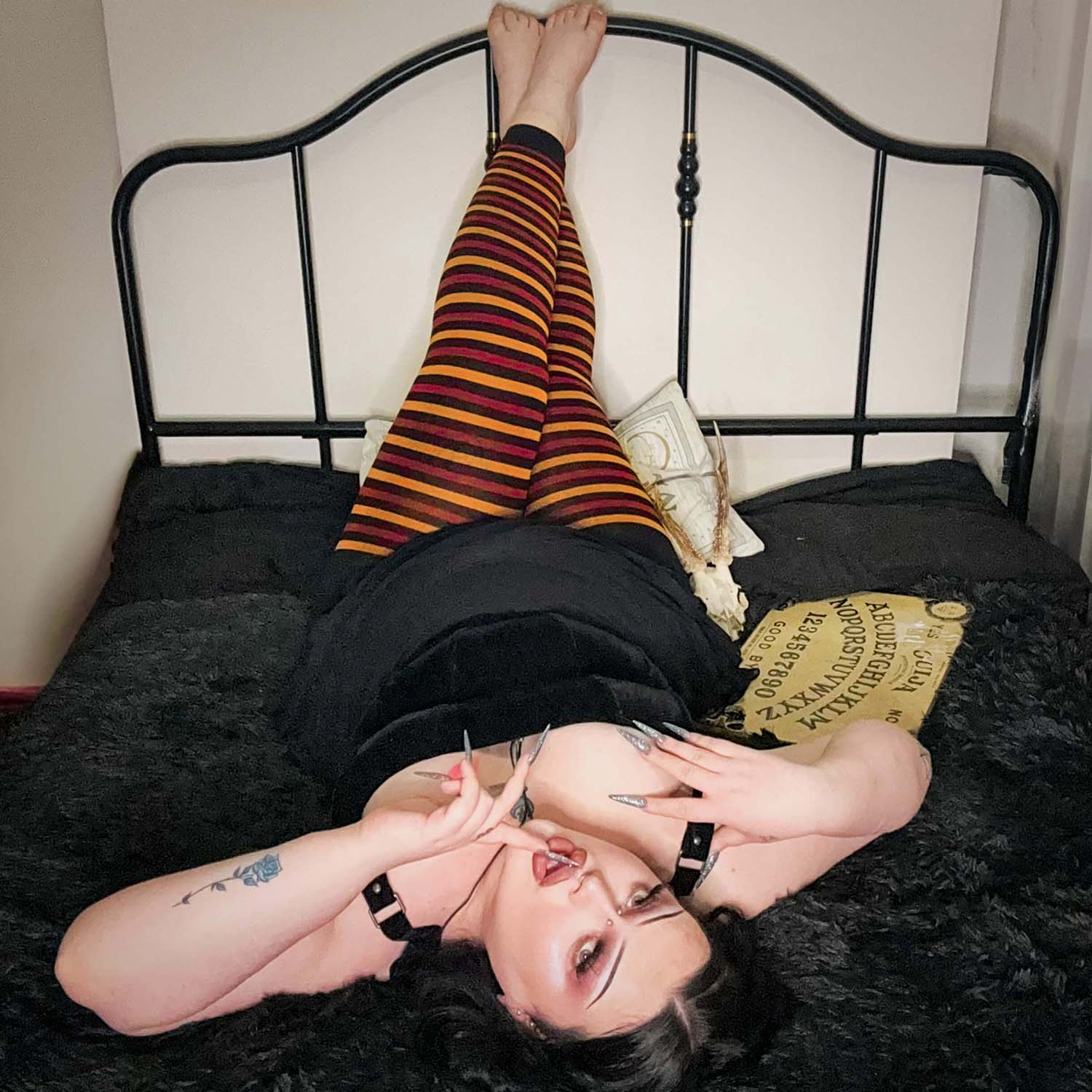 Collant senza piede Cinnabar - Arctinae