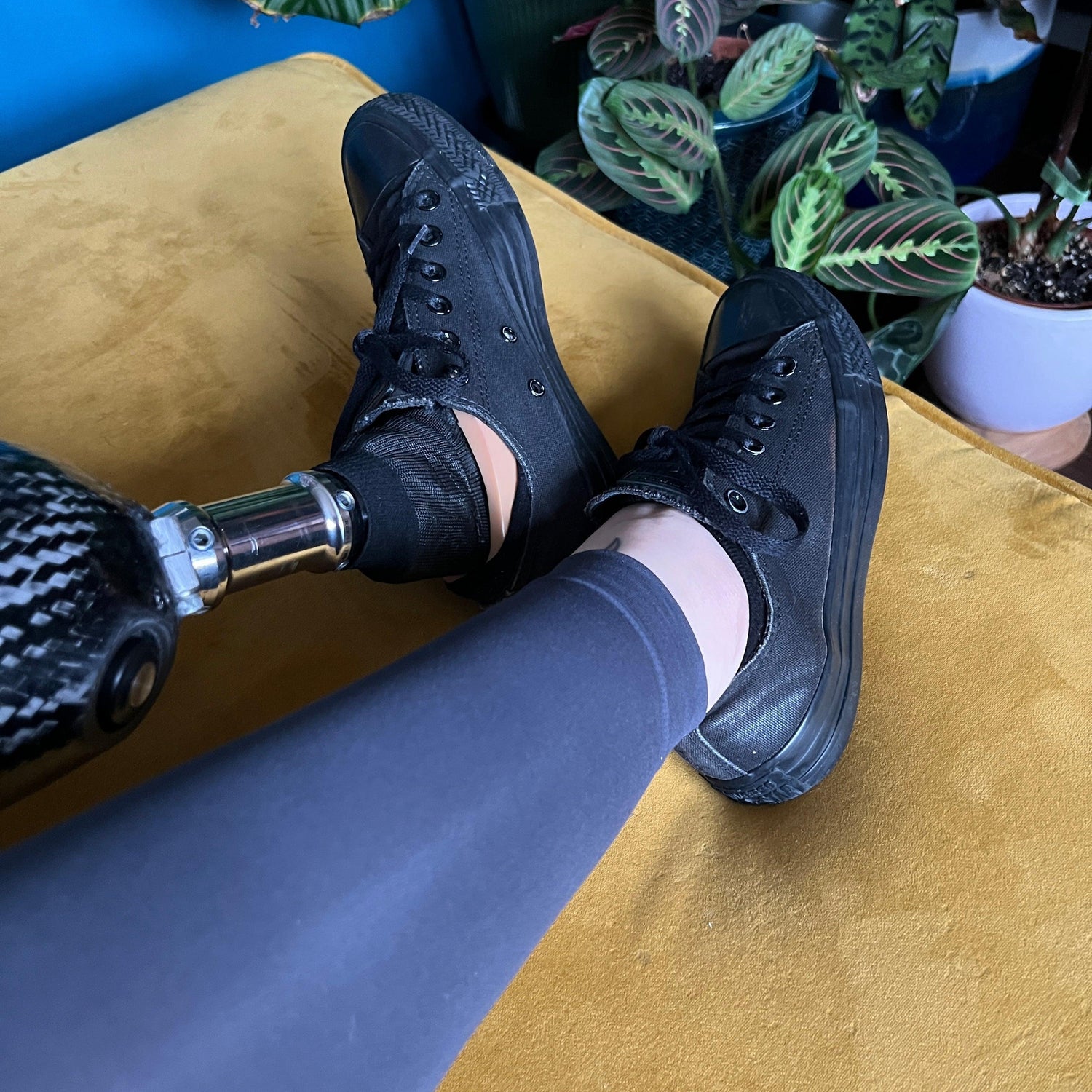 Collants sem pés - Ardósia