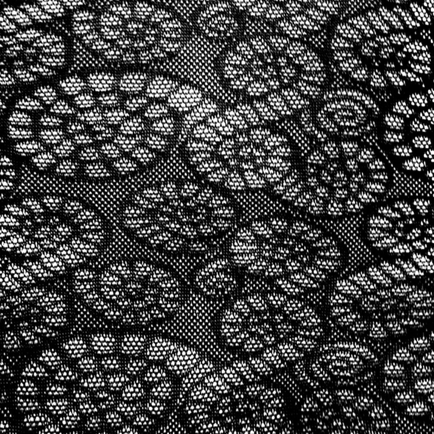 Collants Ammonite Fossil