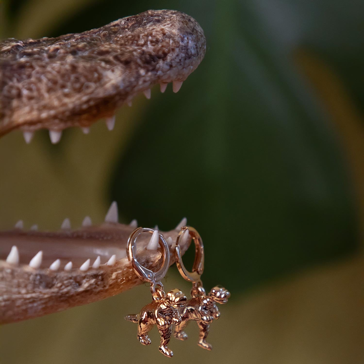Dinosaurie örhängen med ringar - Guld