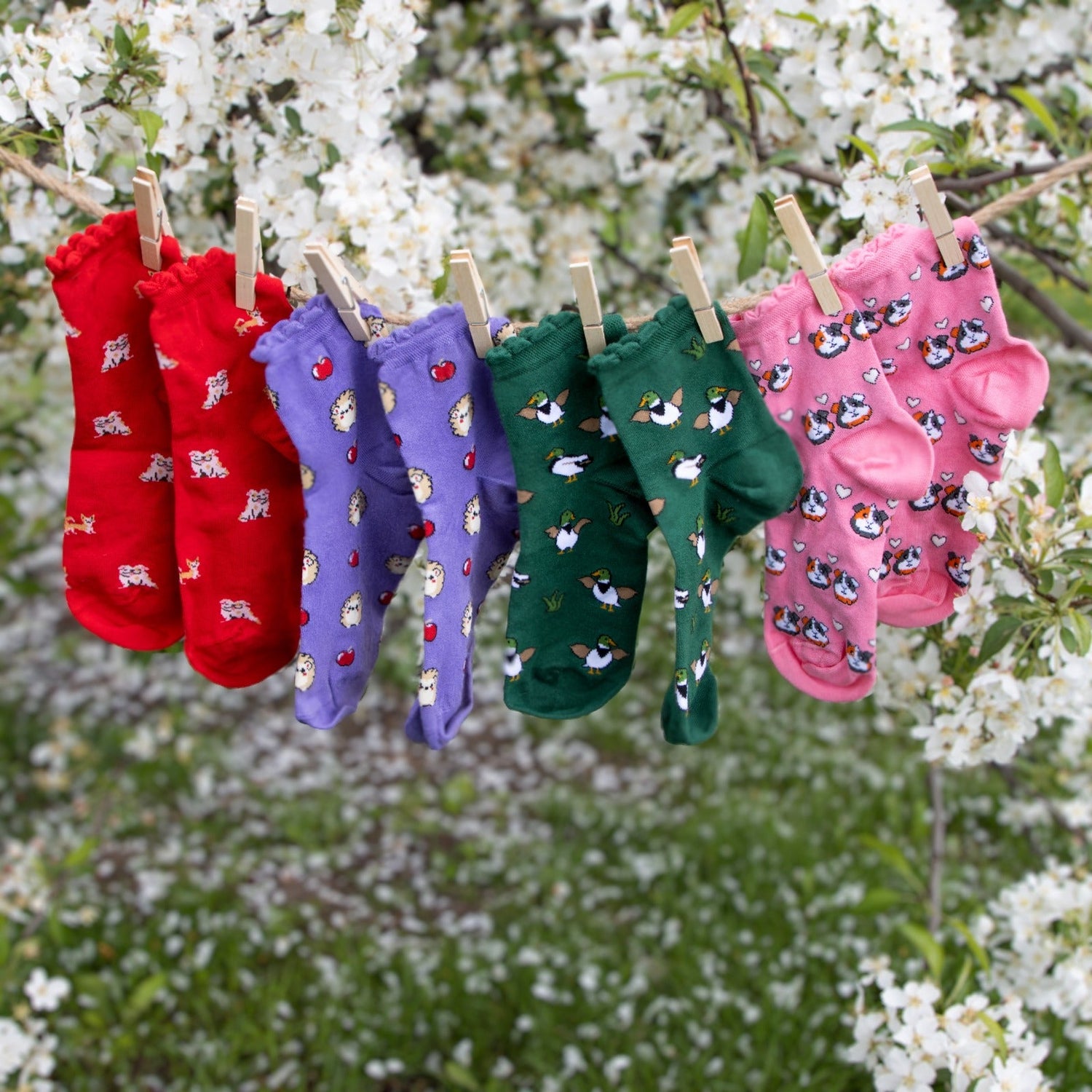 Ultimate Bamboo Ankle Socks - Happy Feet 4 Pair Bundle