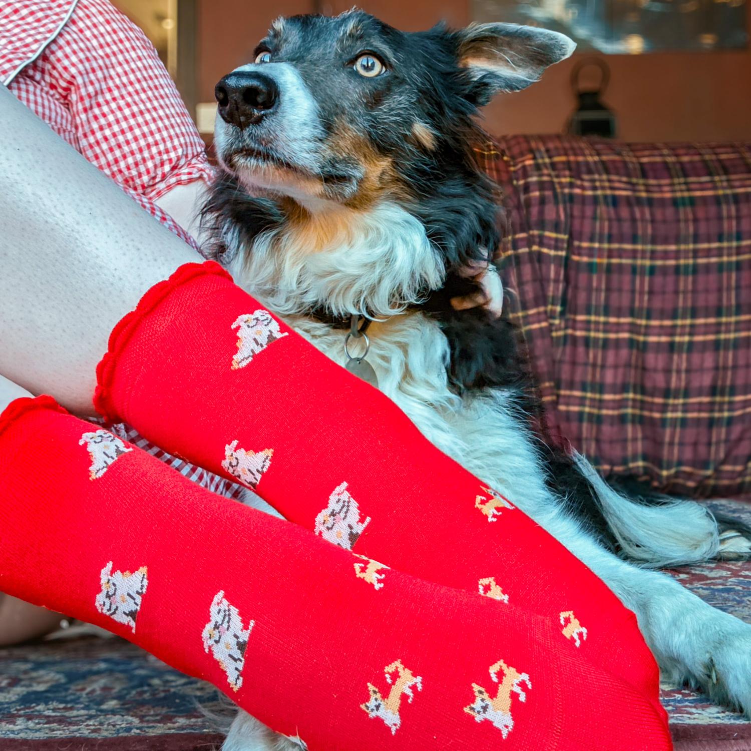 Calcetines cortos de bambú Ultimate - Woof