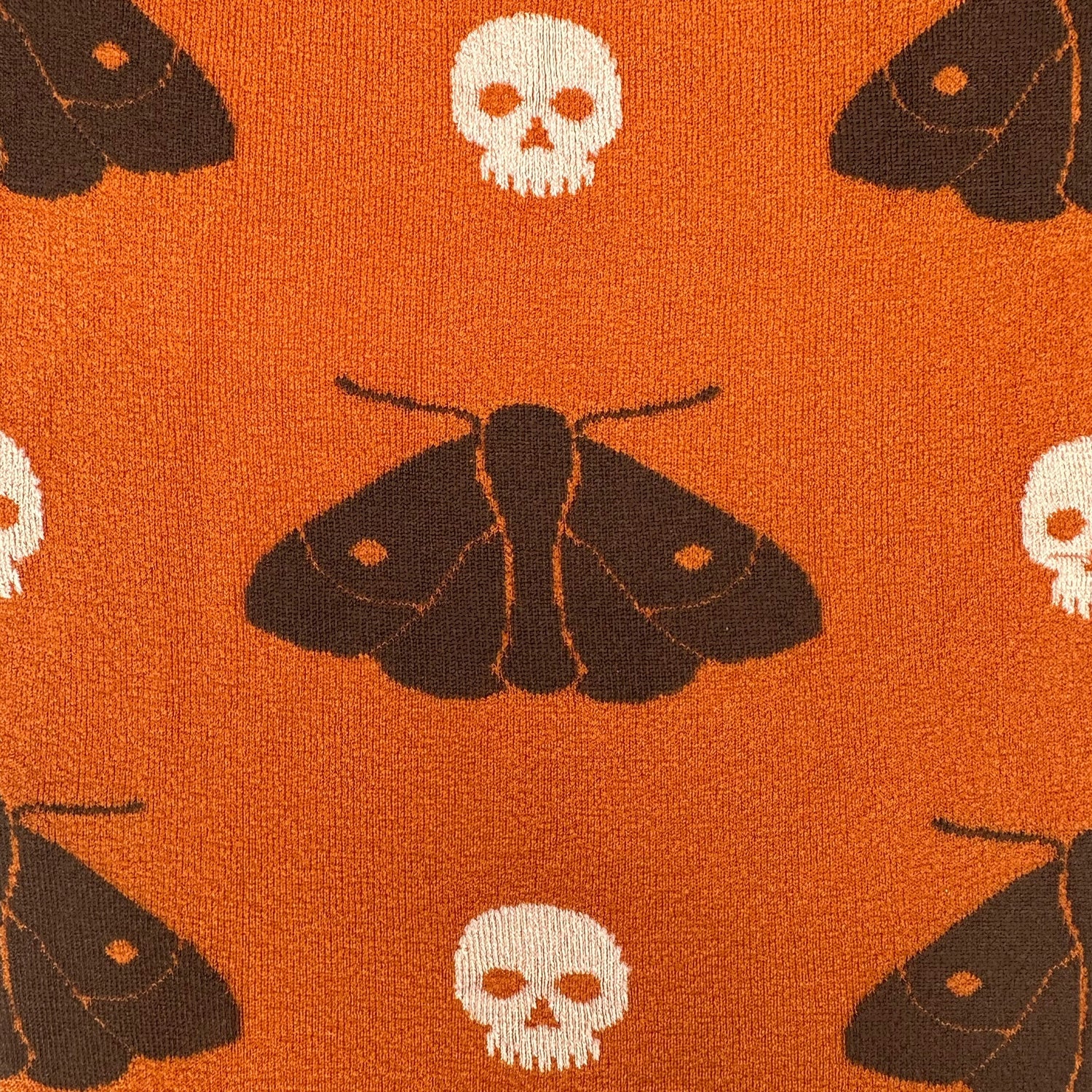Mite de la tête de mort