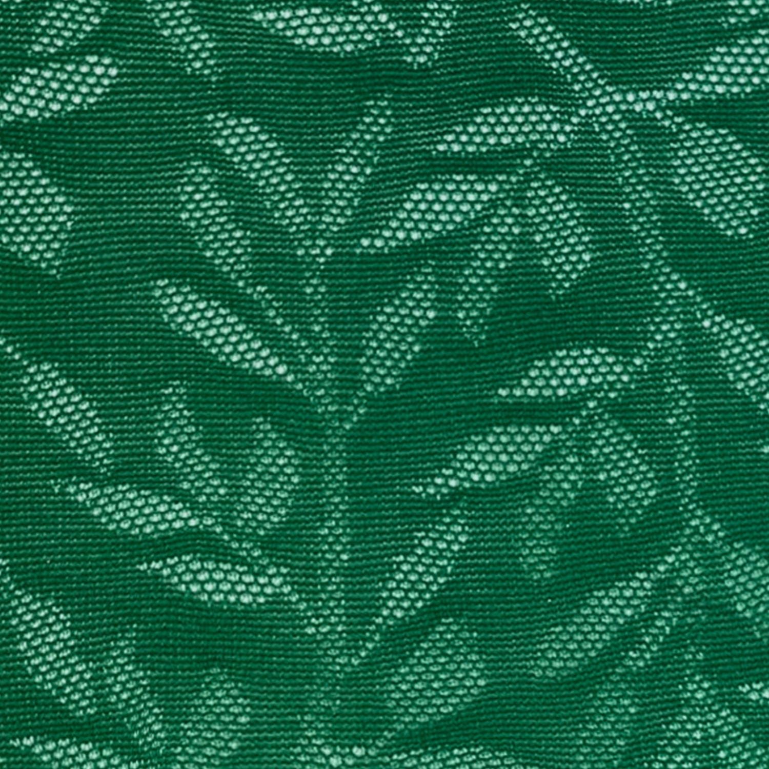 Jungle jurassique