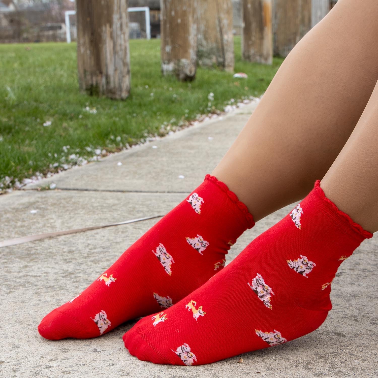 Chaussettes de cheville en bambou - 3 paires en Woof