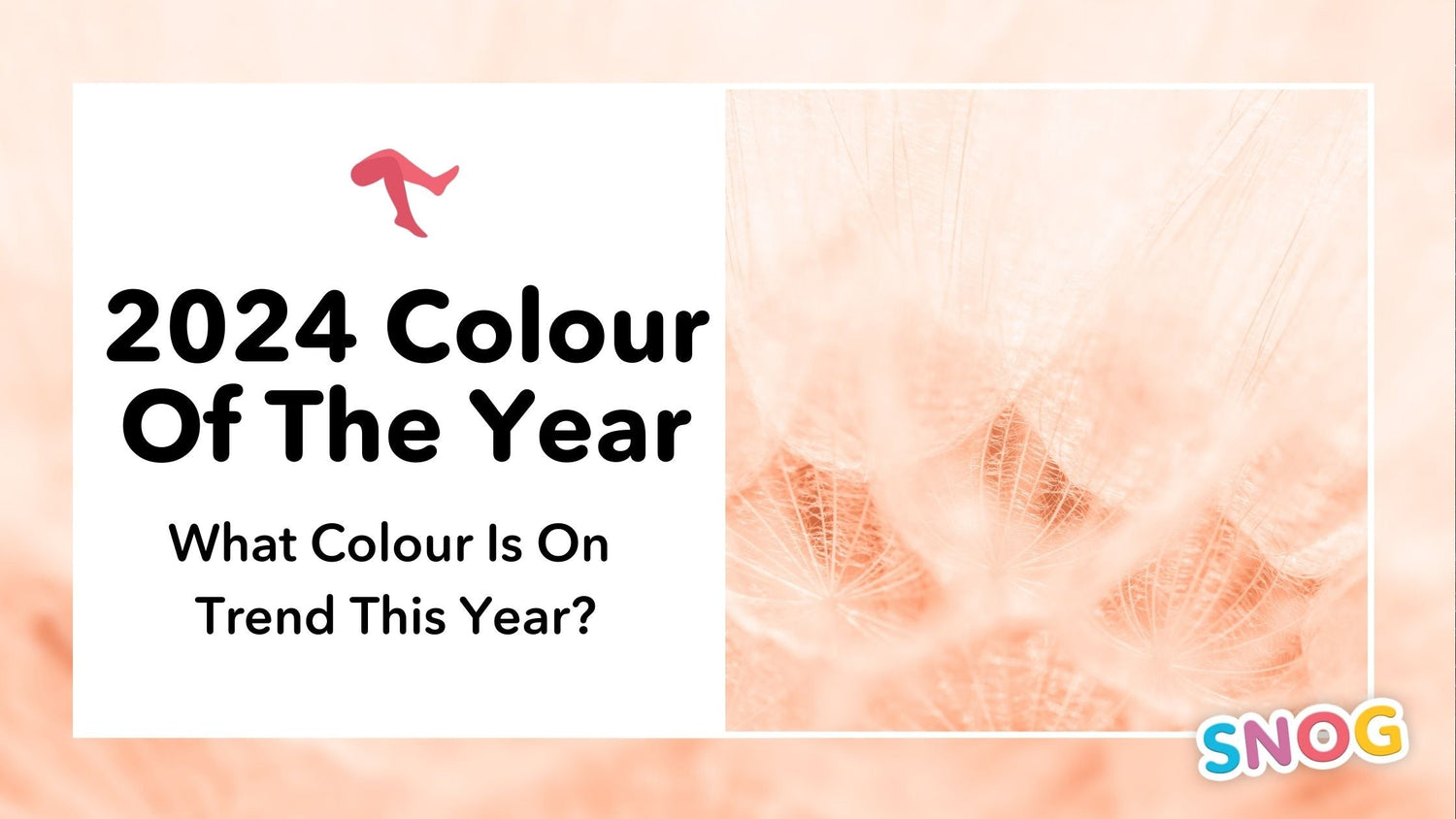 Wat is de Kleur van het Jaar 2024? En wat betekent dat voor jou? - Snag