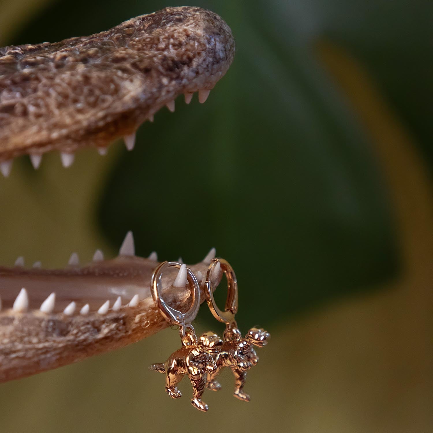 Brincos de argola de dinossauro - Ouro