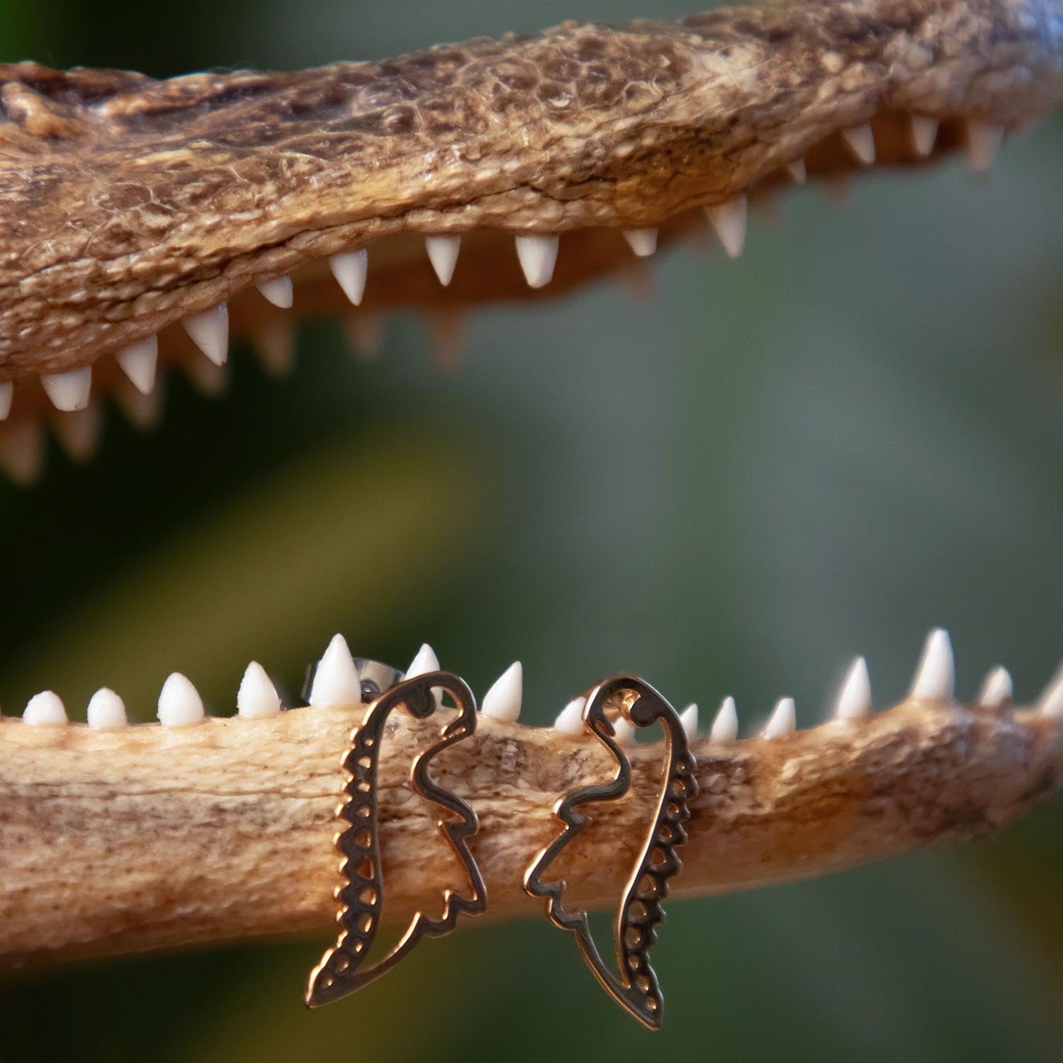 Dinosaurieörhängen - Guld
