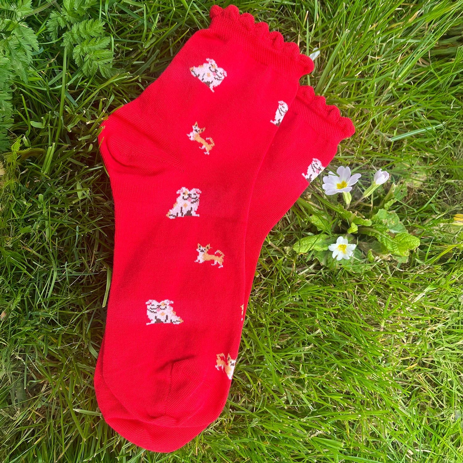 Ankelstrumpor i bambu - 3 par i Woof